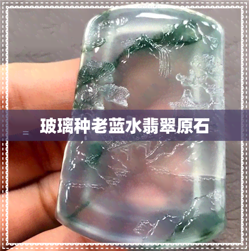 玻璃种老蓝水翡翠原石