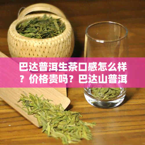 巴达普洱生茶口感怎么样？价格贵吗？巴达山普洱茶特点是什么？