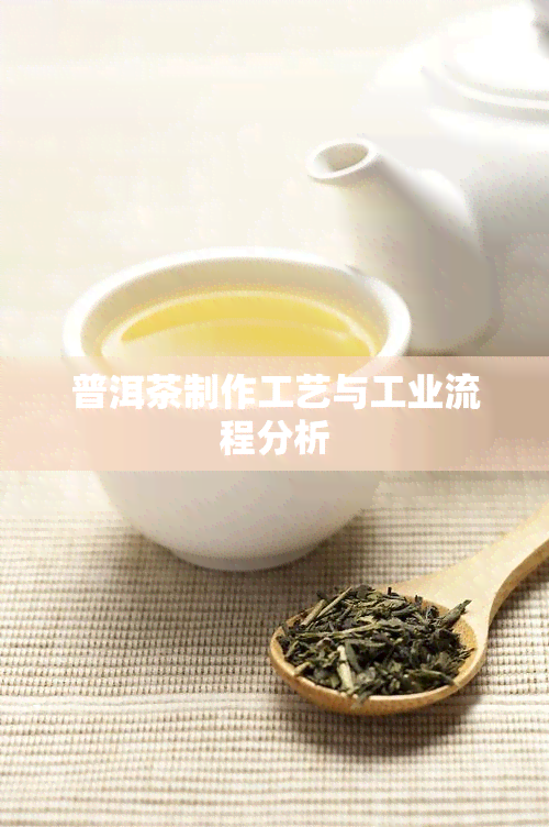 普洱茶制作工艺与工业流程分析