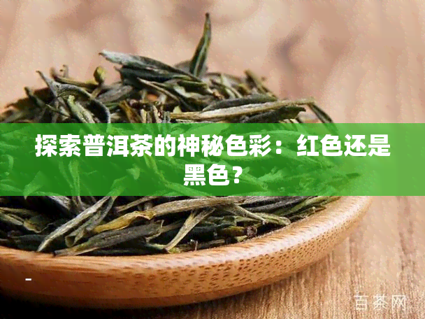 探索普洱茶的神秘色彩：红色还是黑色？