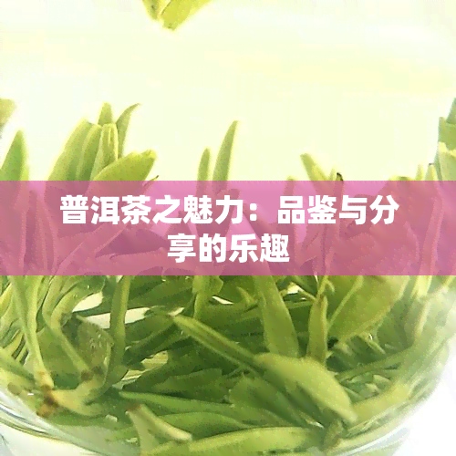 普洱茶之魅力：品鉴与分享的乐趣