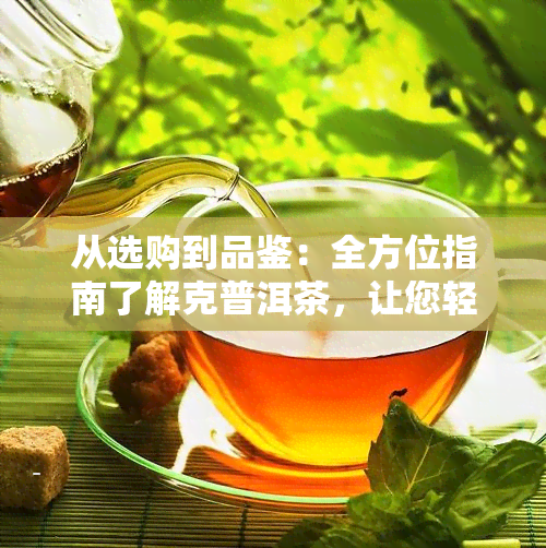 从选购到品鉴：全方位指南了解克普洱茶，让您轻松掌握茶叶知识与购买技巧