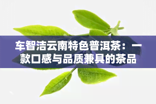 车智洁云南特色普洱茶：一款口感与品质兼具的茶品佳选