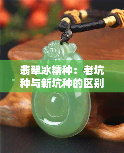 翡翠冰糯种：老坑种与新坑种的区别及选购指南