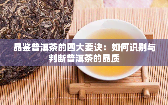 品鉴普洱茶的四大要诀：如何识别与判断普洱茶的品质