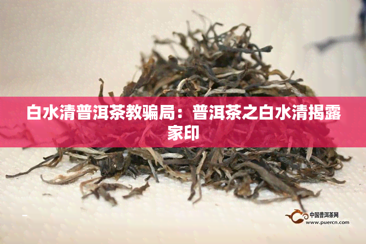 白水清普洱茶教骗局：普洱茶之白水清揭露家印