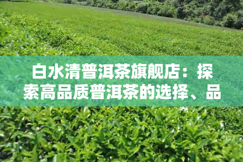 白水清普洱茶旗舰店：探索高品质普洱茶的选择、品鉴与购买指南