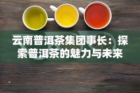 云南普洱茶集团事长：探索普洱茶的魅力与未来，解答您对普洱茶的疑问