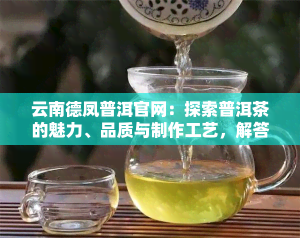 云南德凤普洱官网：探索普洱茶的魅力、品质与制作工艺，解答您的所有疑问