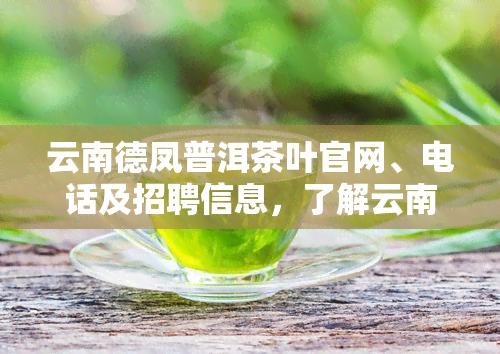 云南德凤普洱茶叶官网、电话及招聘信息，了解云南德凤普洱茶价格