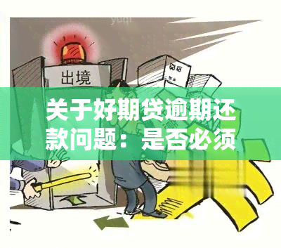 关于好期贷逾期还款问题：是否必须一次性还清？还款方式有哪些选择？