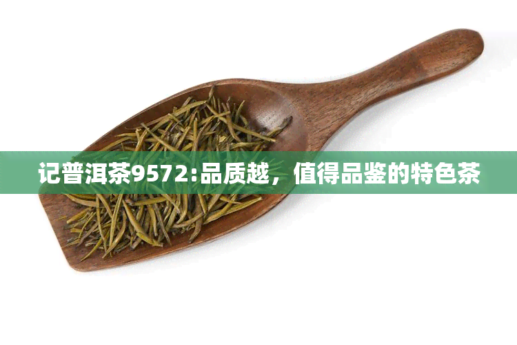 记普洱茶9572:品质越，值得品鉴的特色茶