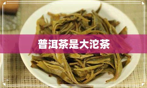 普洱茶是大沱茶