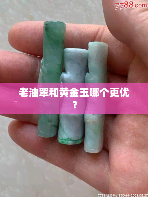 老油翠和黄金玉哪个更优？