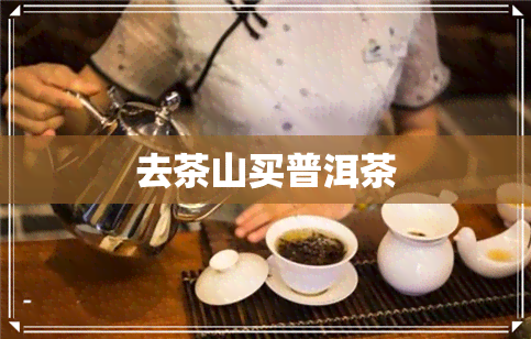 去茶山买普洱茶