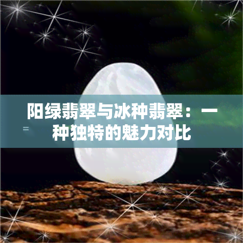 阳绿翡翠与冰种翡翠：一种独特的魅力对比