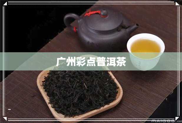 广州彩点普洱茶