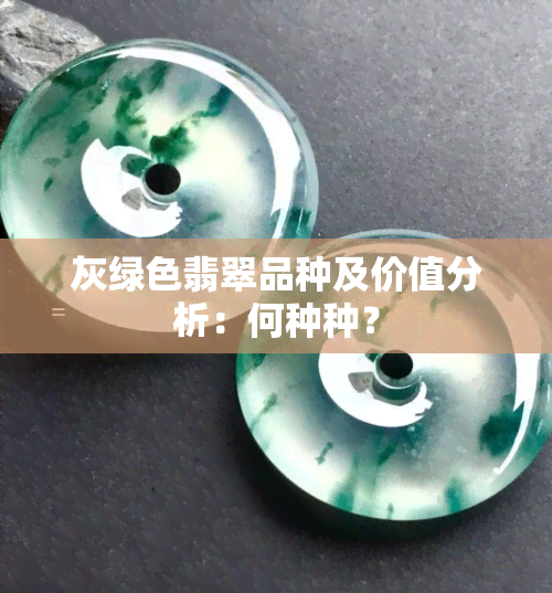 灰绿色翡翠品种及价值分析：何种种？