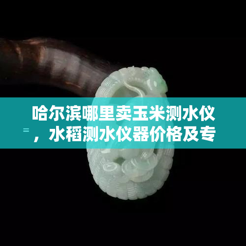 哈尔滨哪里卖玉米测水仪，水稻测水仪器价格及专卖地点