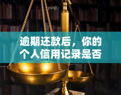 逾期还款后，你的个人信用记录是否会受到影响？——以菏泽广电网贷款为例