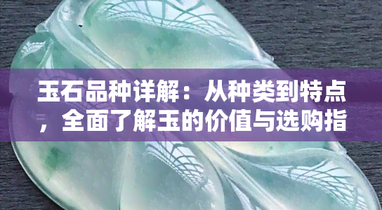 玉石品种详解：从种类到特点，全面了解玉的价值与选购指南