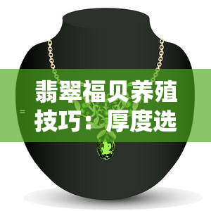 翡翠福贝养殖技巧：厚度选择与养护方法全面解析