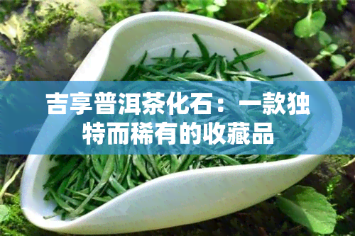 吉享普洱茶化石：一款独特而稀有的收藏品