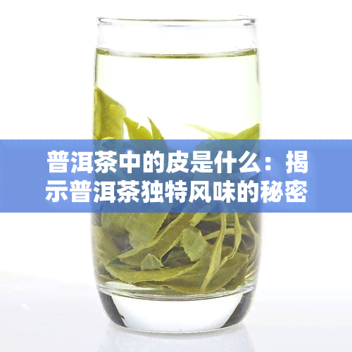 普洱茶中的皮是什么：揭示普洱茶独特风味的秘密成分