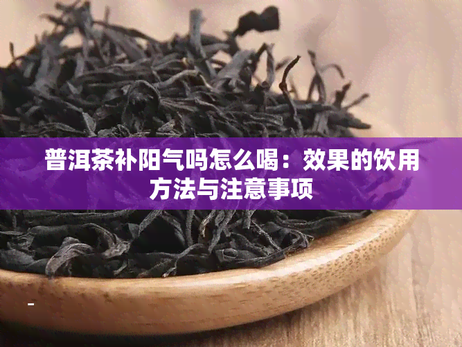 普洱茶补阳气吗怎么喝：效果的饮用方法与注意事项