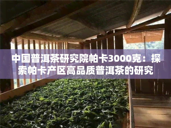 中国普洱茶研究院帕卡3000克：探索帕卡产区高品质普洱茶的研究成果