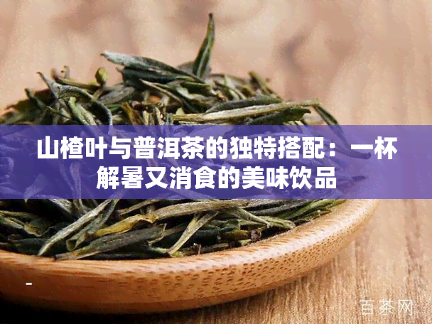 山楂叶与普洱茶的独特搭配：一杯解暑又消食的美味饮品