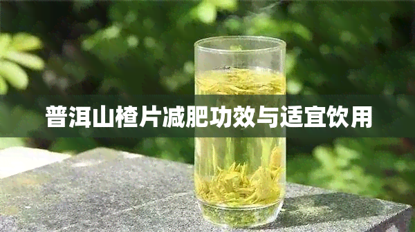 普洱山楂片减肥功效与适宜饮用