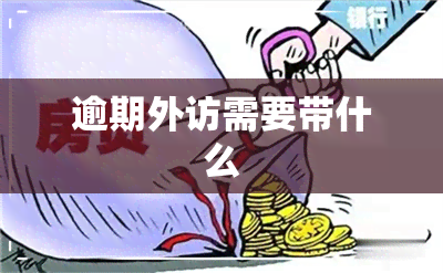 逾期外访需要带什么