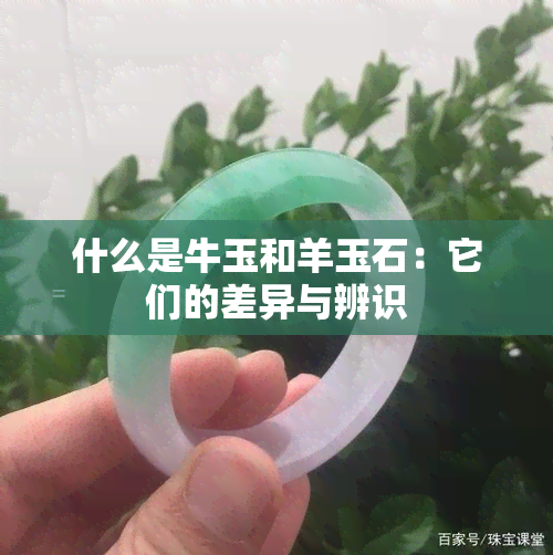 什么是牛玉和羊玉石：它们的差异与辨识