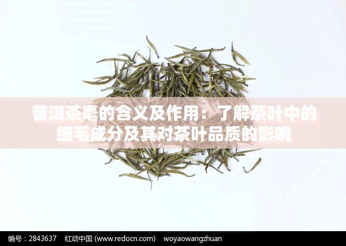 普洱茶毫的含义及作用：了解茶叶中的细毛成分及其对茶叶品质的影响