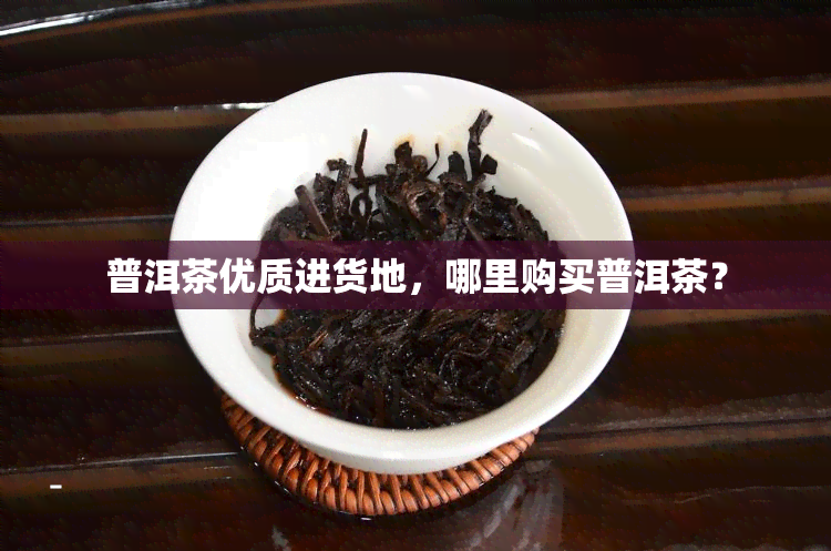 普洱茶优质进货地，哪里购买普洱茶？