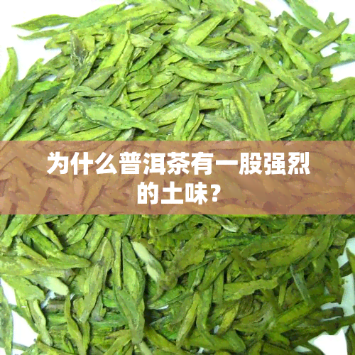 为什么普洱茶有一股强烈的土味？