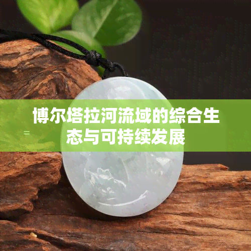 博尔塔拉河流域的综合生态与可持续发展