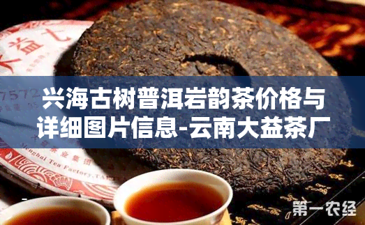 兴海古树普洱岩韵茶价格与详细图片信息-云南大益茶厂直销