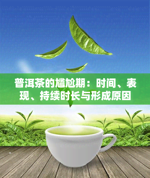 普洱茶的尴尬期：时间、表现、持续时长与形成原因