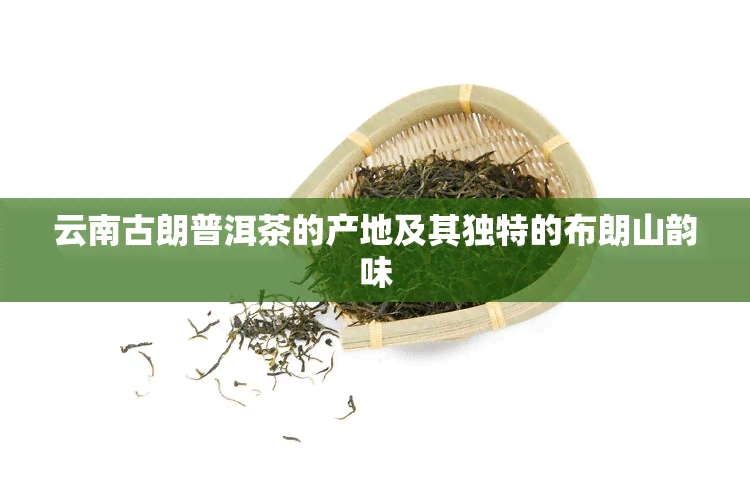 云南古朗普洱茶的产地及其独特的布朗山韵味