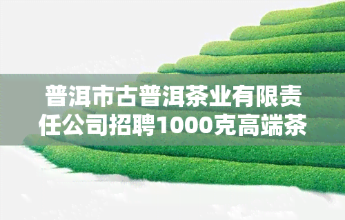 普洱市古普洱茶业有限责任公司招聘1000克高端茶叶，官网展示优质产品