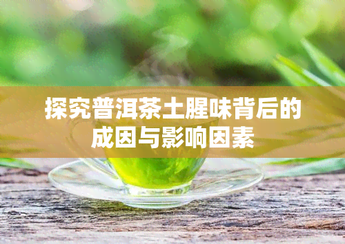 探究普洱茶土腥味背后的成因与影响因素