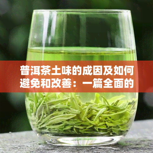 普洱茶土味的成因及如何避免和改善：一篇全面的探讨