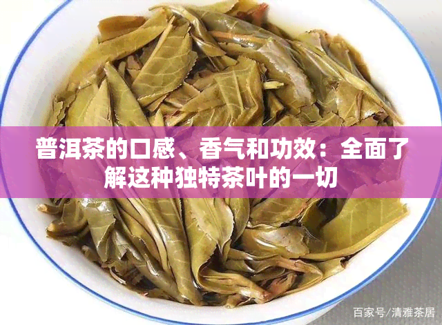 普洱茶的口感、香气和功效：全面了解这种独特茶叶的一切