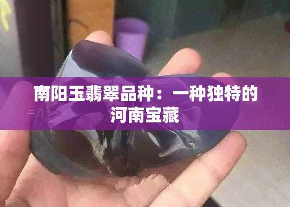 南阳玉翡翠品种：一种独特的河南宝藏