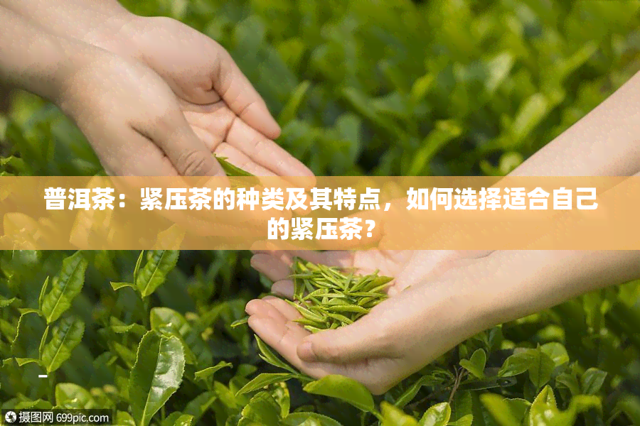 普洱茶：紧压茶的种类及其特点，如何选择适合自己的紧压茶？