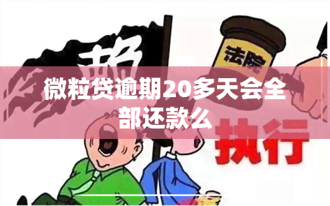 微粒贷逾期20多天会全部还款么