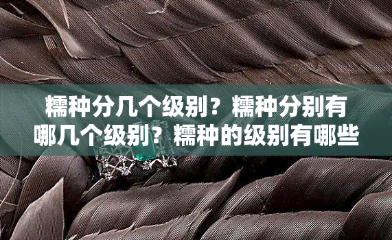 糯种分几个级别？糯种分别有哪几个级别？糯种的级别有哪些？