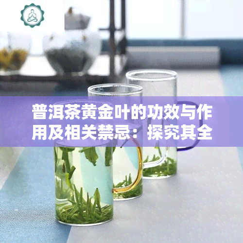 普洱茶黄金叶的功效与作用及相关禁忌：探究其全面效益与潜在风险